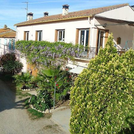 Gite Mas Des Ecureuils Palau-del-Vidre Extérieur photo